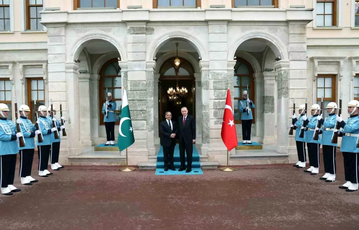 Cumhurbaşkanı Erdoğan, Pakistan Başbakanı Şerif'i kabul etti