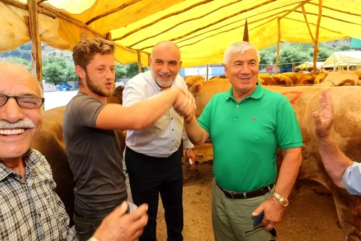 Samsun Canik'te Kurbanlık Hayvan Pazarı Açıldı