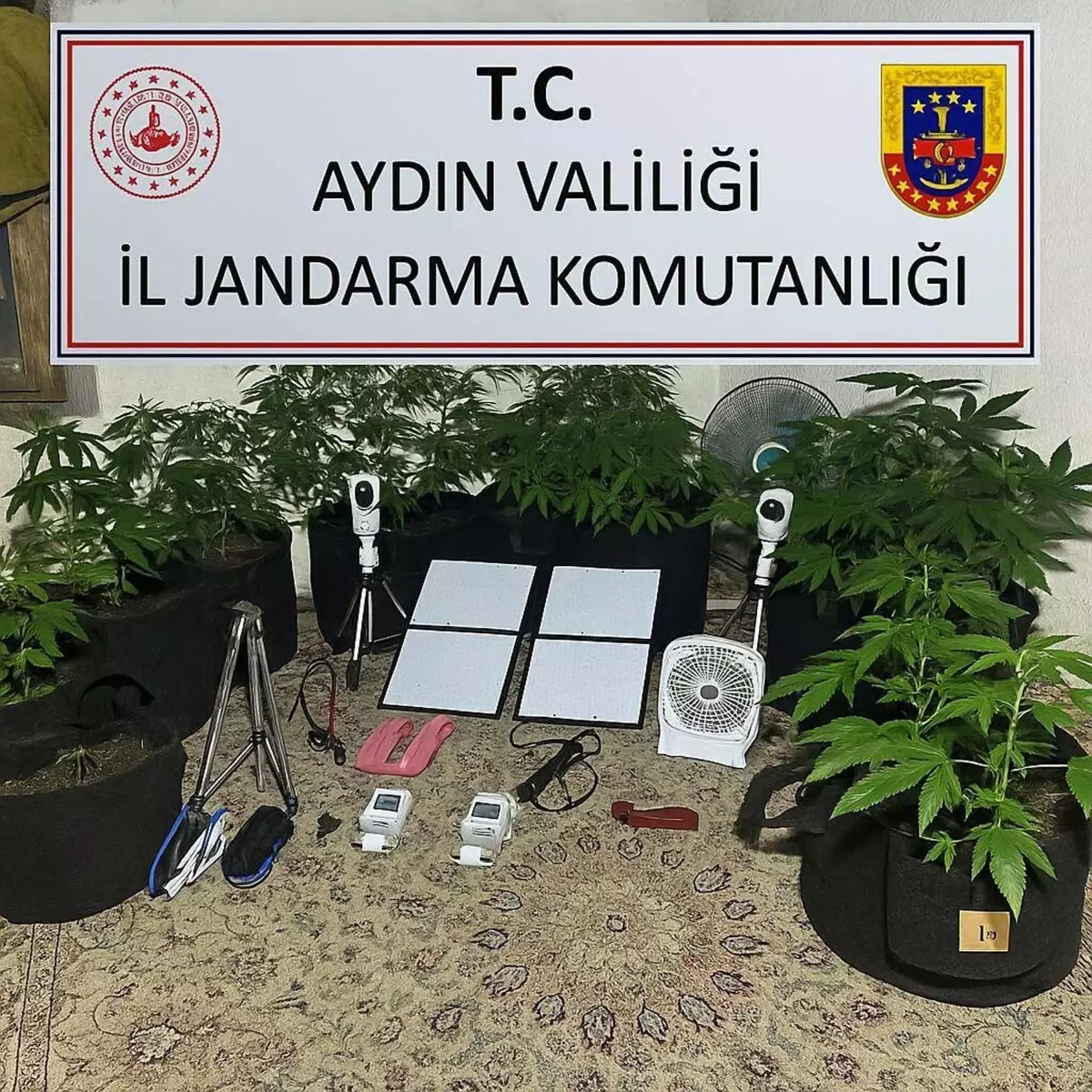 Üniversite Öğrencisine Uyuşturucu Operasyonu