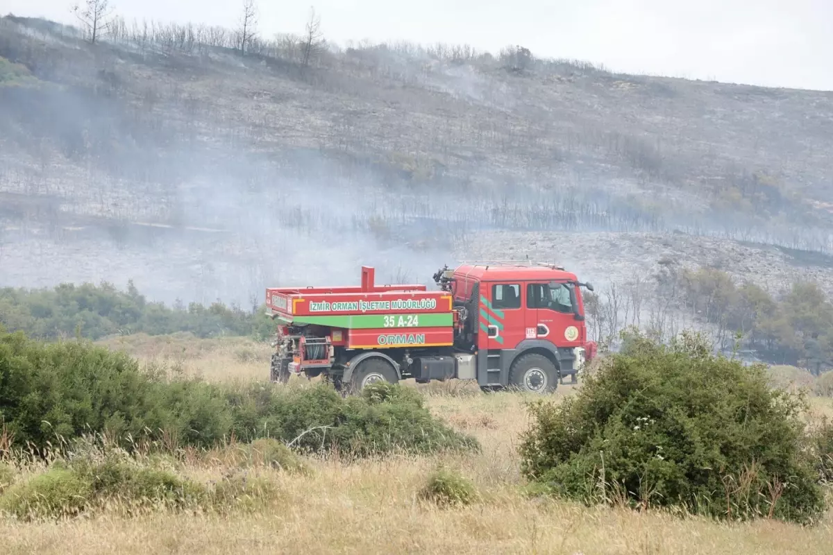 Foça ve Urla'daki Yangın Kontrol Altında