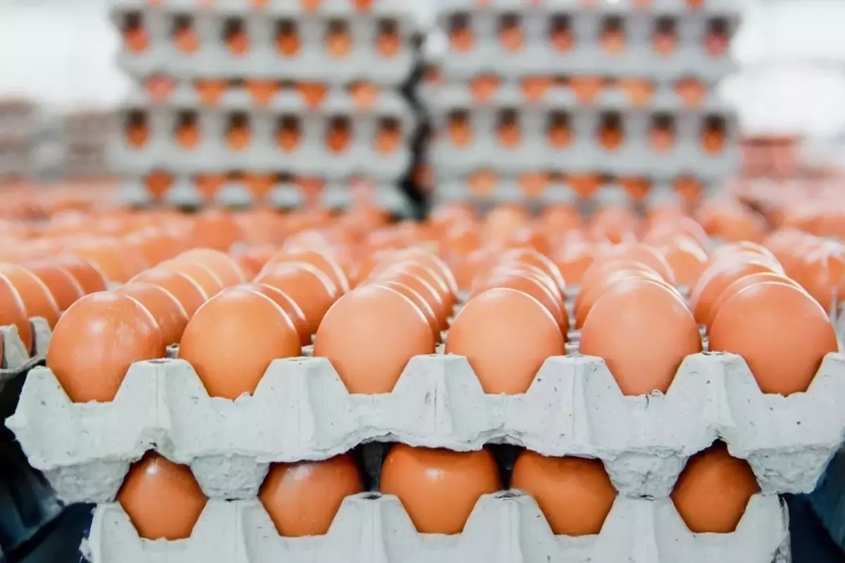 Yumurtanın fiyatı geriledi deniyor ama markette hala pahalı