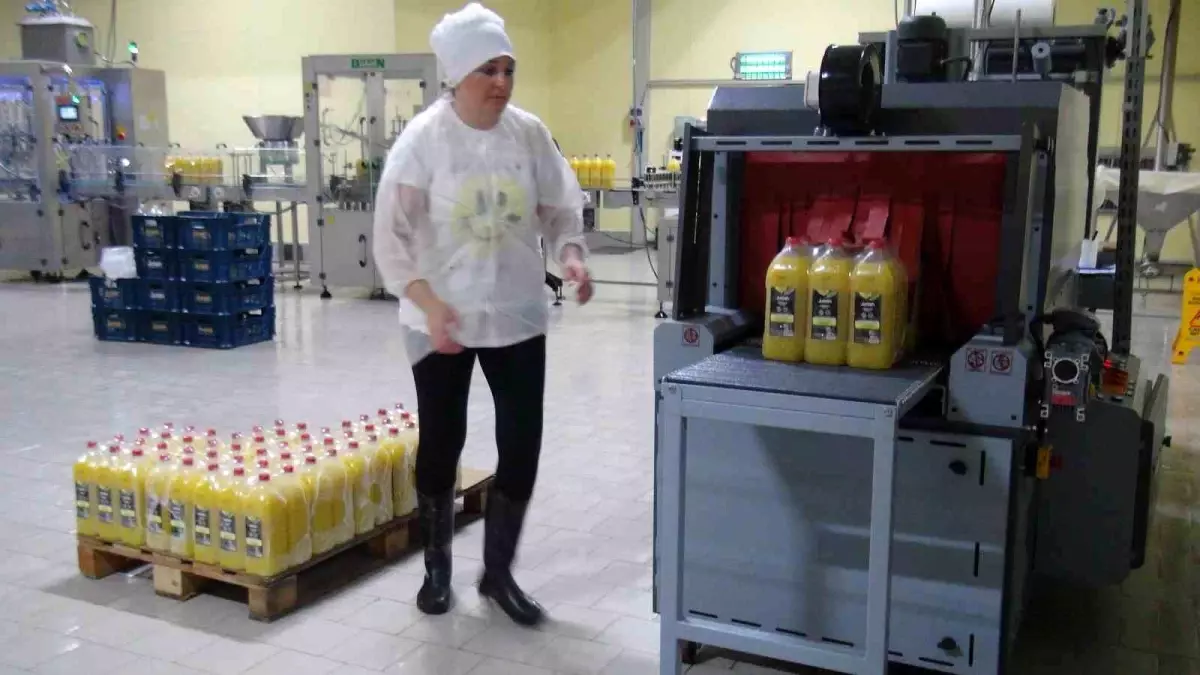 Muğla'dan Dünyaya Meyve Suyu İhracatı