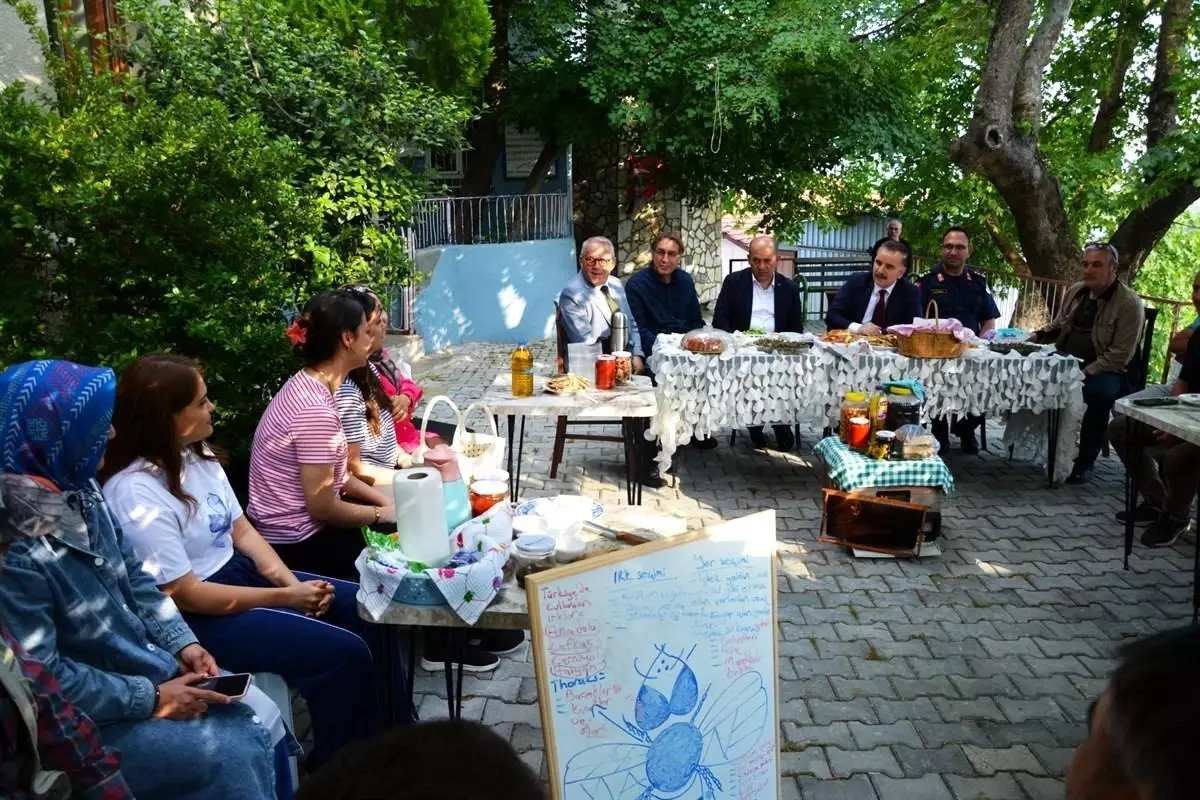 Dünya Arı Günü'nde Arıcılık Kursu