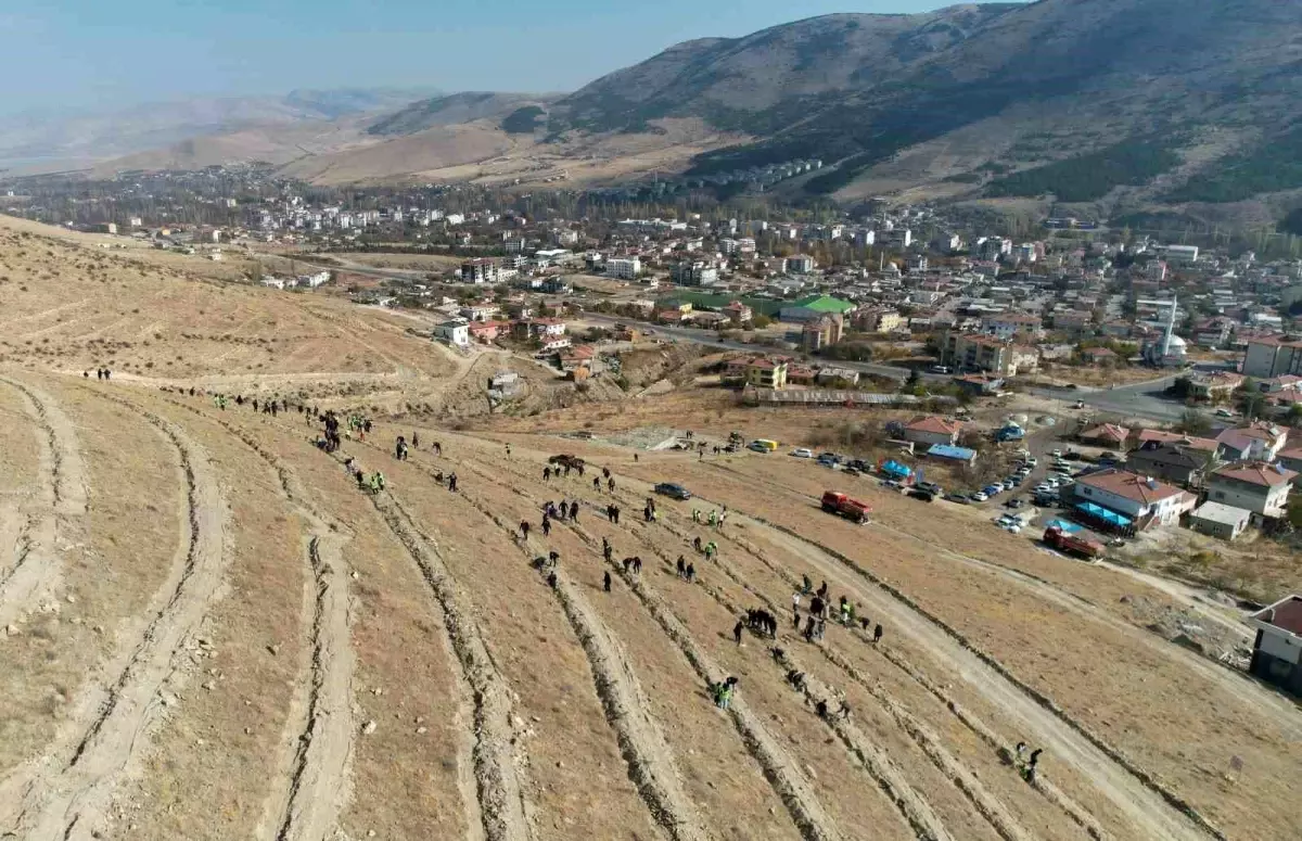 Kayseri'de Geleceğe Nefes Projesi kapsamında 11 Kasım'da Fidan Dikimi Yapıldı