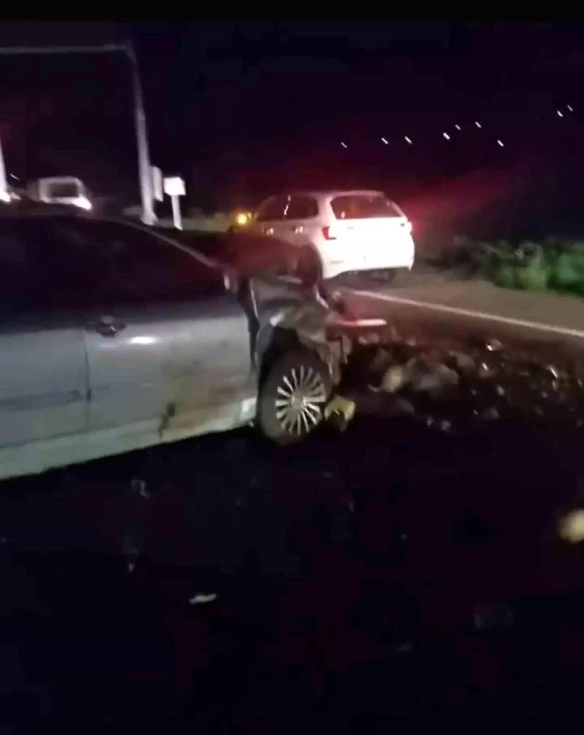 Iğdır'da Hayvan Sürüsüne Otomobil Çarptı