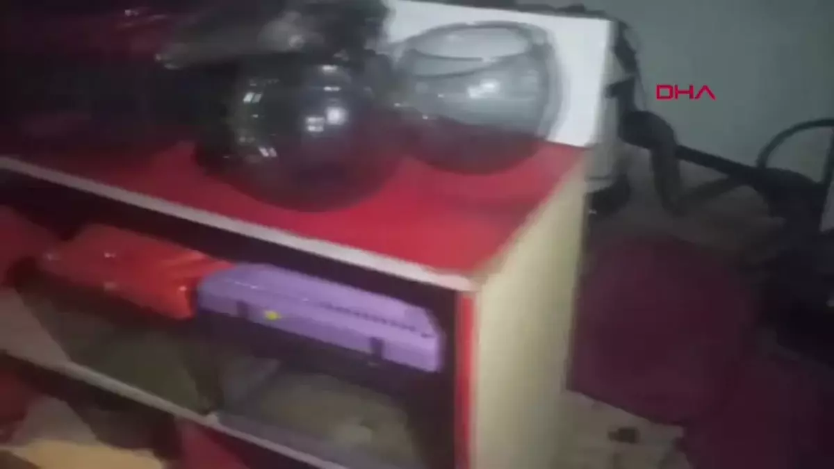 Kayseri'de Pet Shop Yangını: Hayvanlar Öldü, Sahibine Yaralar Açtı