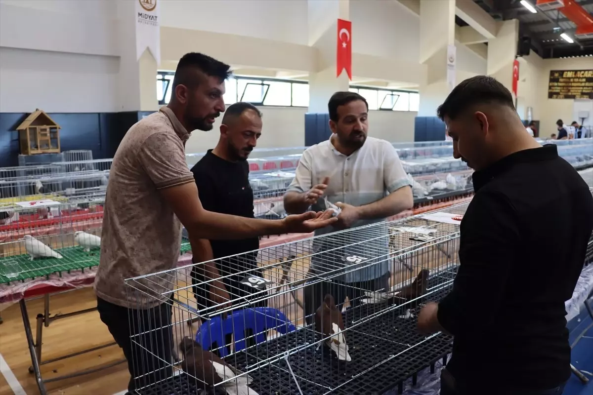 Midyat'ta Güvercin Festivali Ödülleri Dağıtıldı