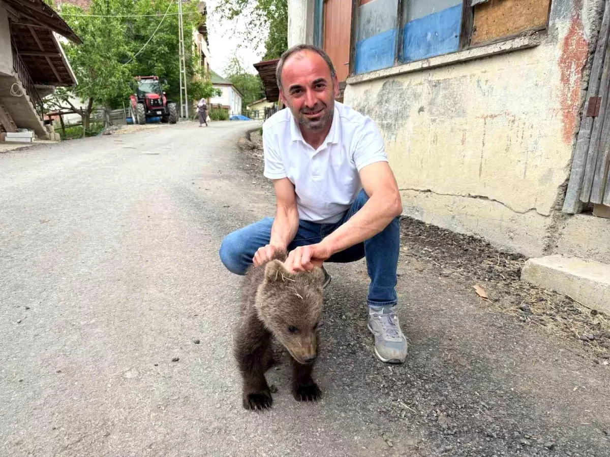 Yavru Ayı Kurtarıldı