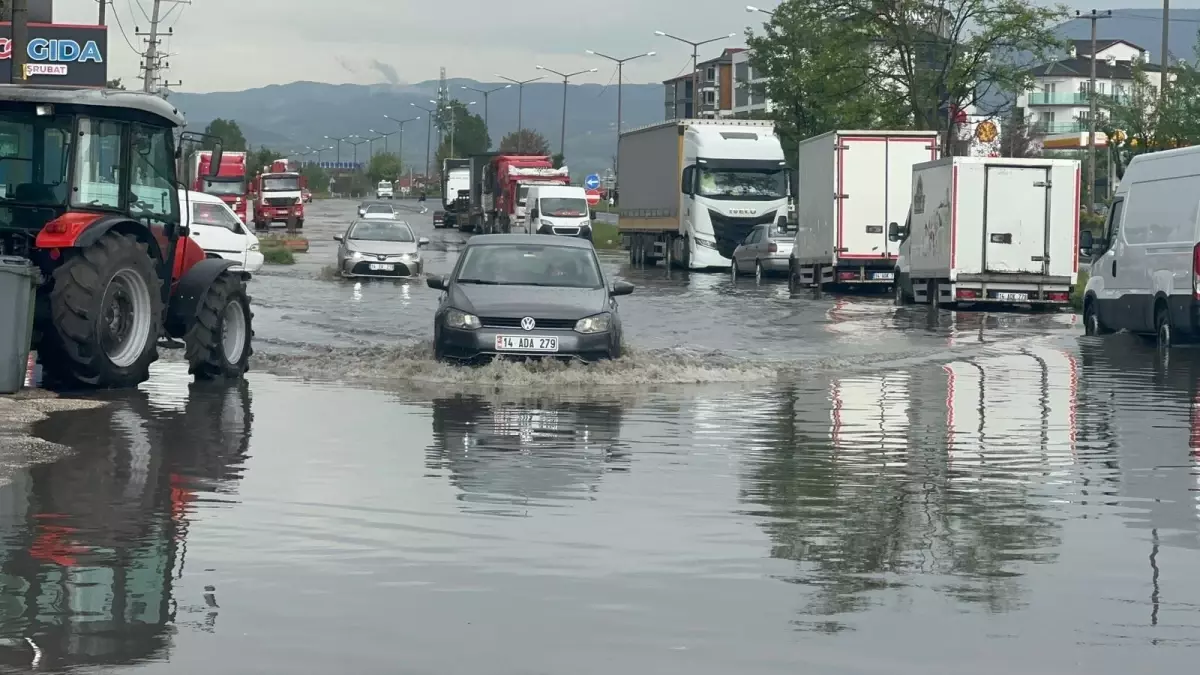 Bolu'da Fırtına ve Sağanak: Su Baskınları ve Devrilen Ağaçlar