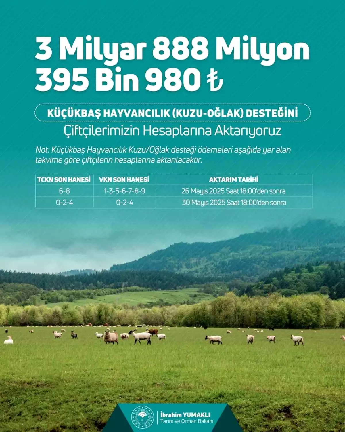 Küçükbaş Hayvancılığa 3.9 Milyar TL Destek