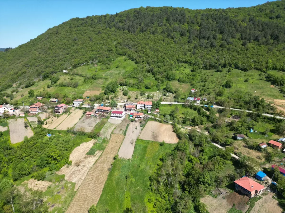 Küre Dağları'nın İlkbahar Güzelliği