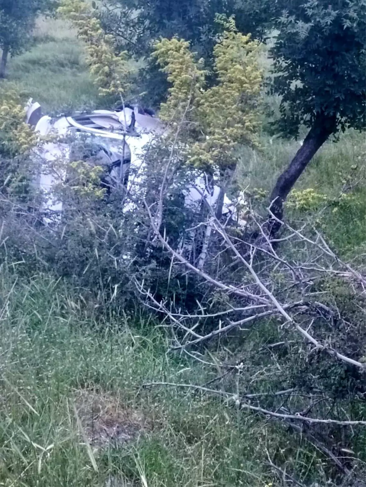 Pervari'de Otomobil Devrildi, Sürücü Yaralı
