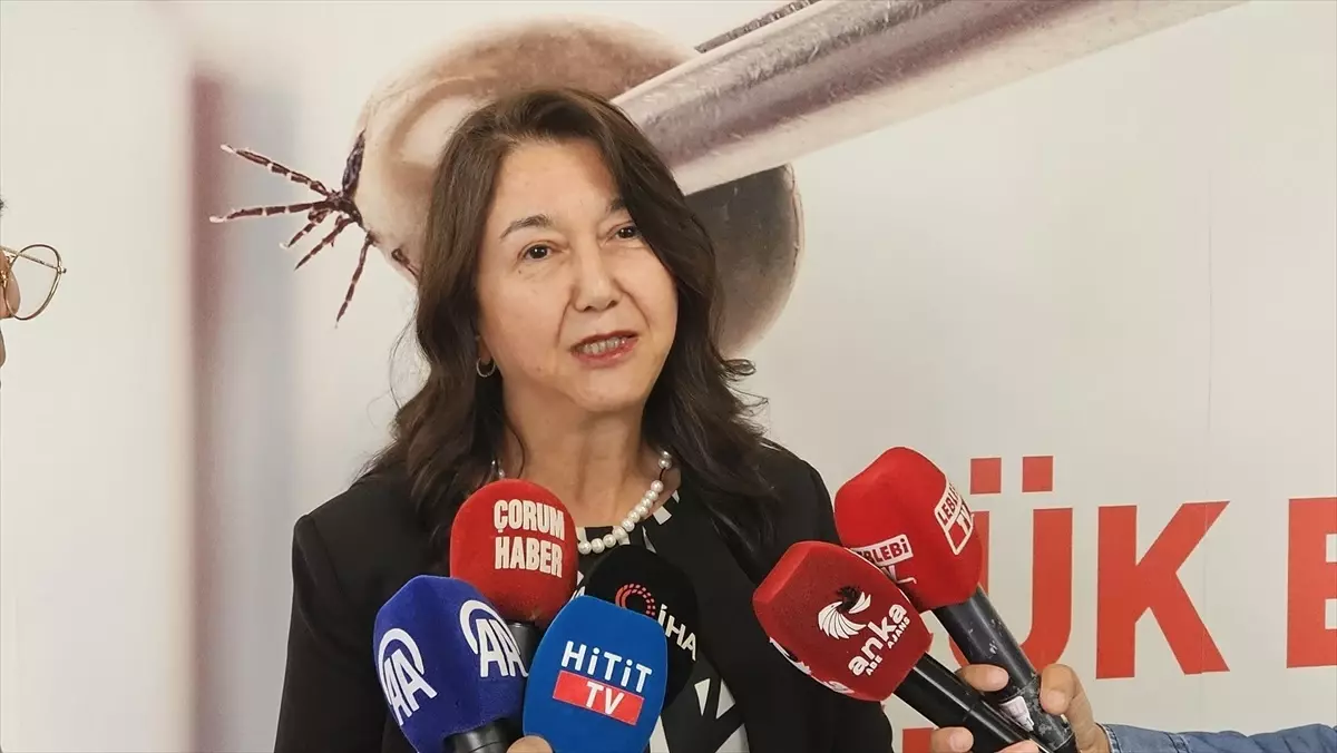 KKKA Uyarısı: Kene Temasına Dikkat!