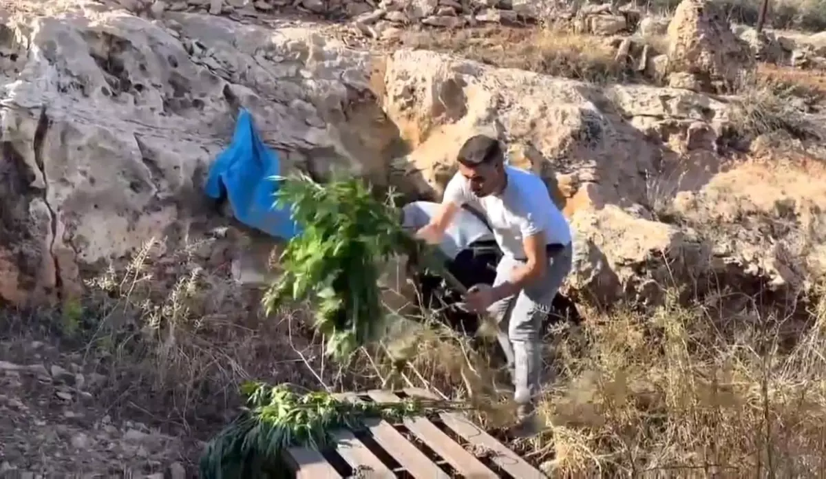 Şanlıurfa'da Uyuşturucu Operasyonu