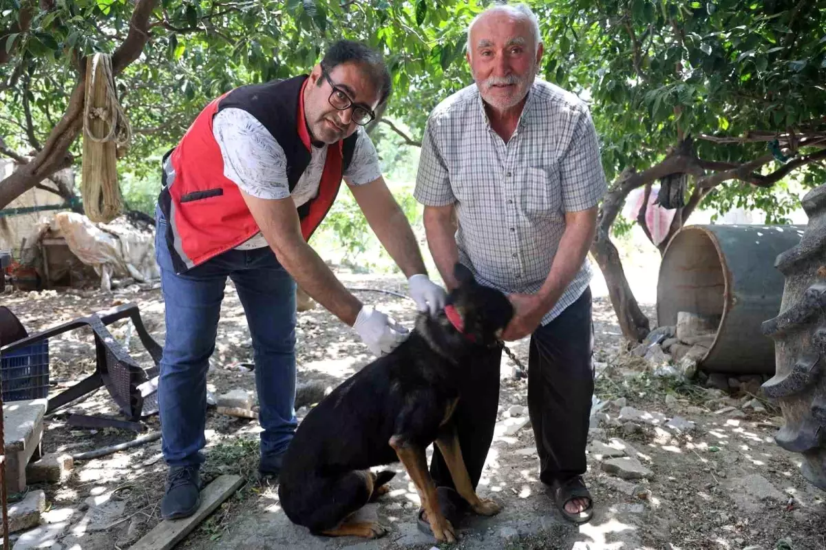 Hatay'da Kuduz Karantinası