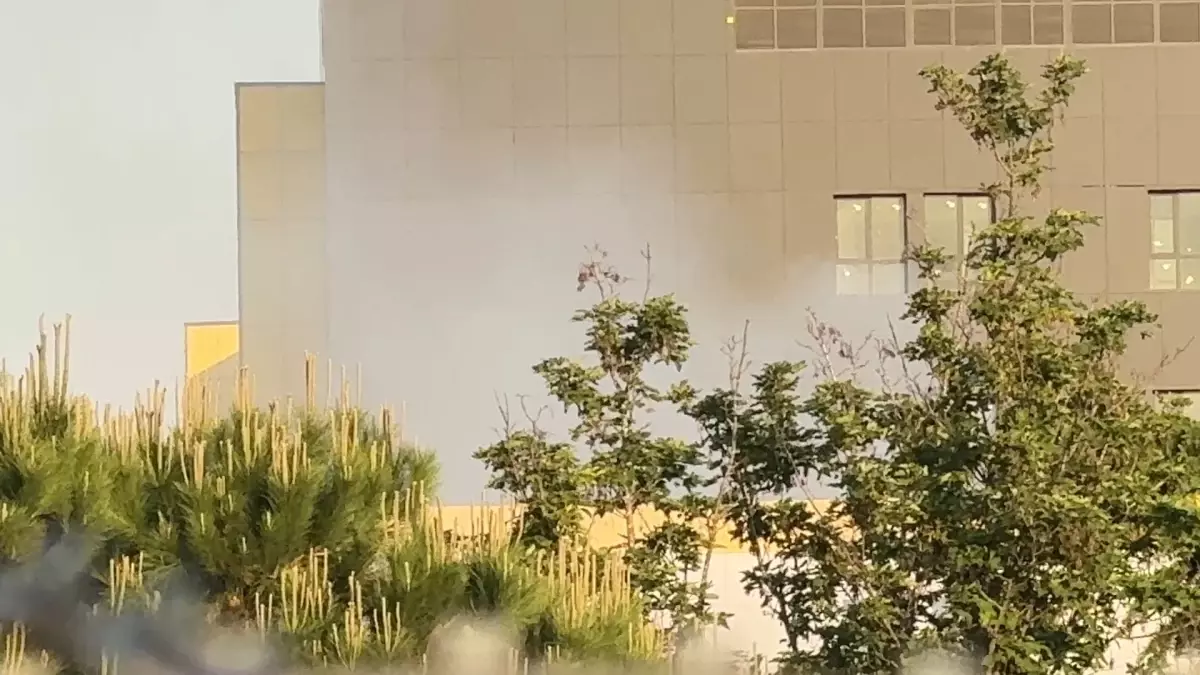 İstanbul Üniversitesi-Cerrahpaşa kampüsünde korkutan yangın