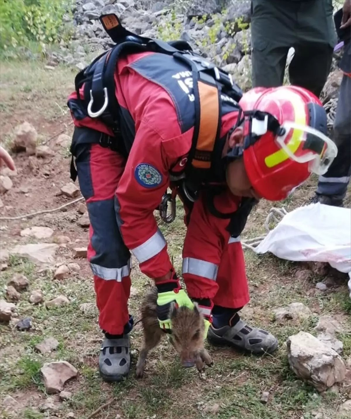 Dalaman'da Hayvan Kurtarma Operasyonları