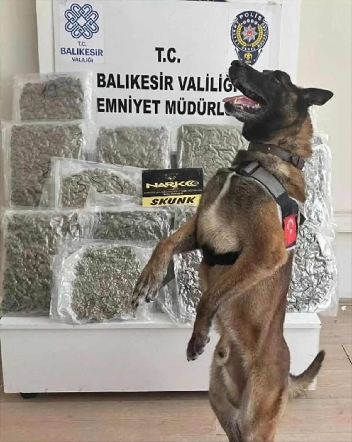 Balıkesir'de Otobüste 10 Kilo Esrar Ele Geçirildi