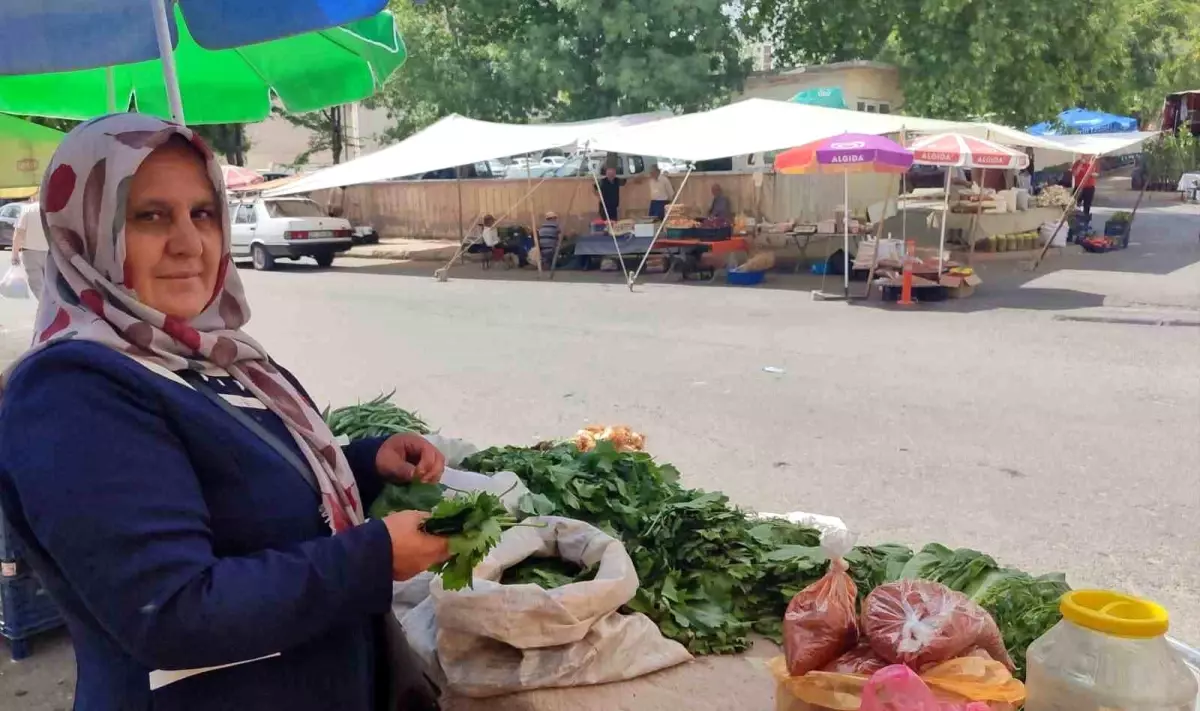 Asma Yaprağı ile Aile Ekonomisine Destek