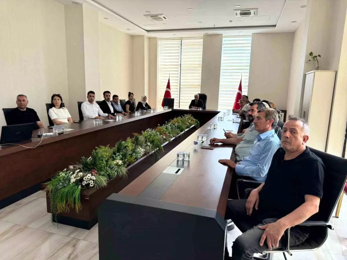Eğitim