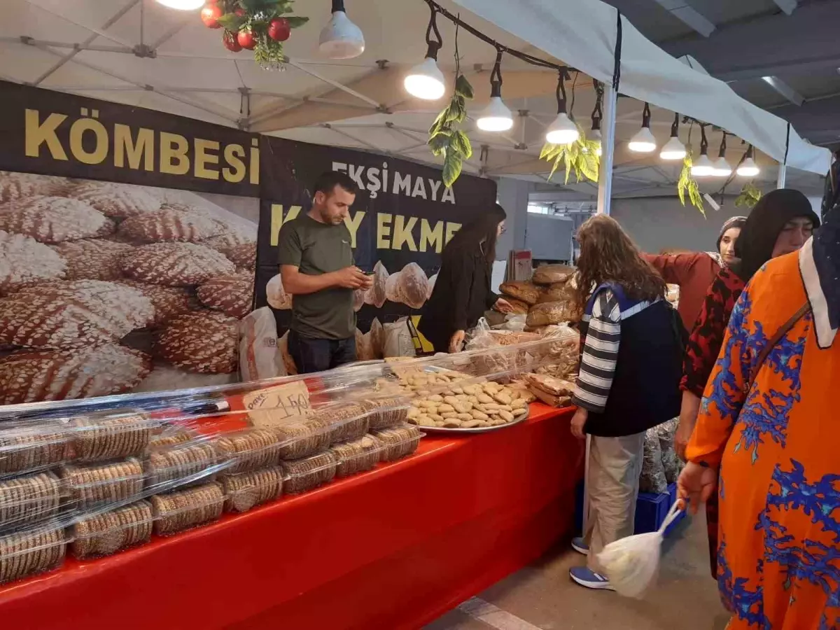 Eğitim