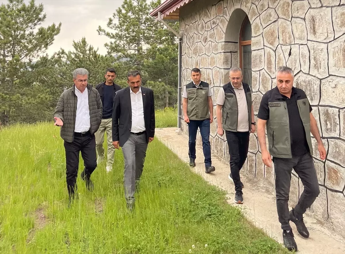 Beyoğlu Yaylası'na Mesire Alanı Yapılacak