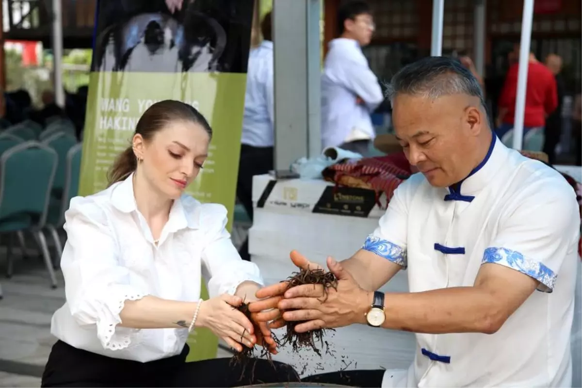 Rize ve Jingdezhen'den Dostluk Günü Kutlaması