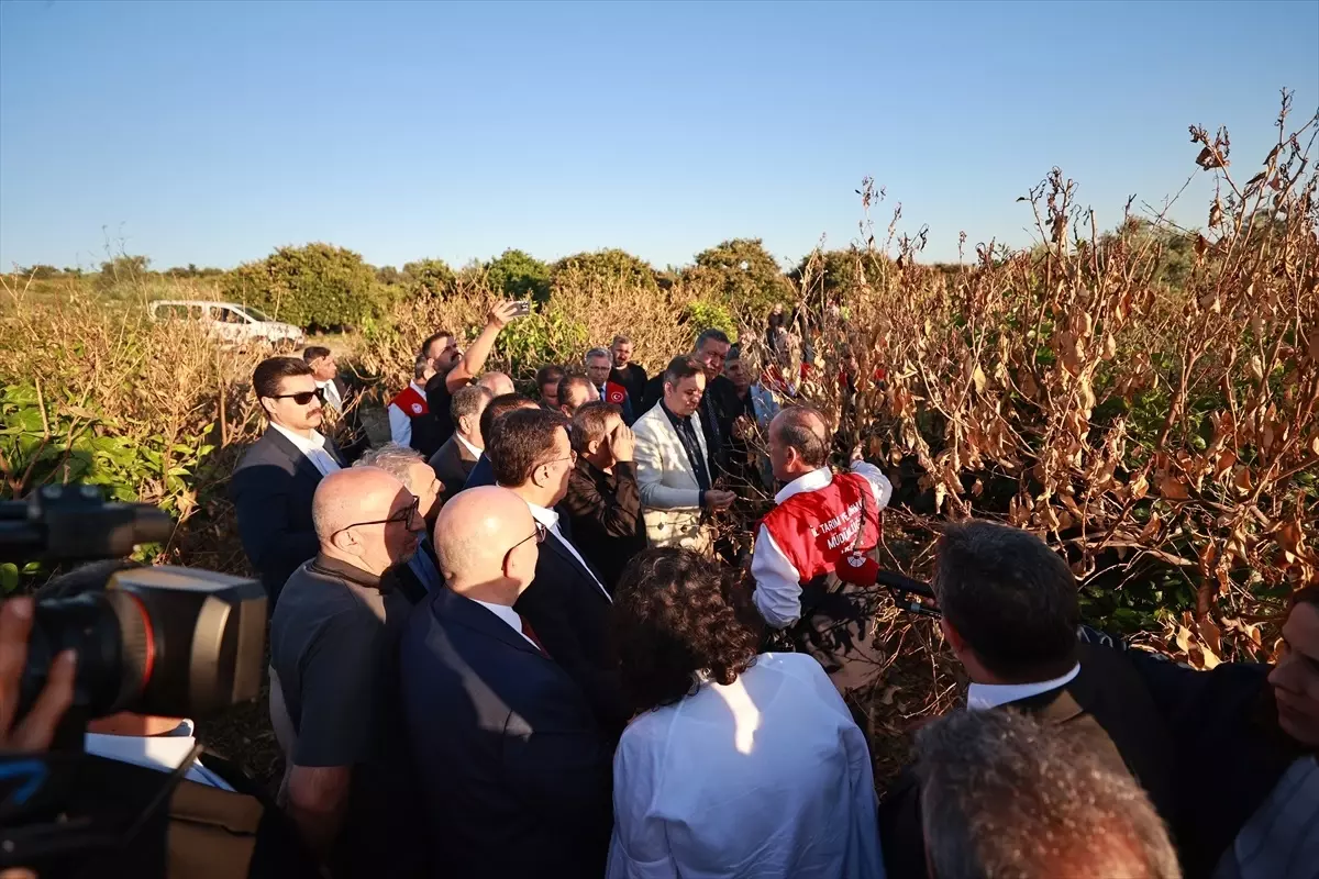 TBMM Komisyonu Mersin'de Zirai Donu İnceledi