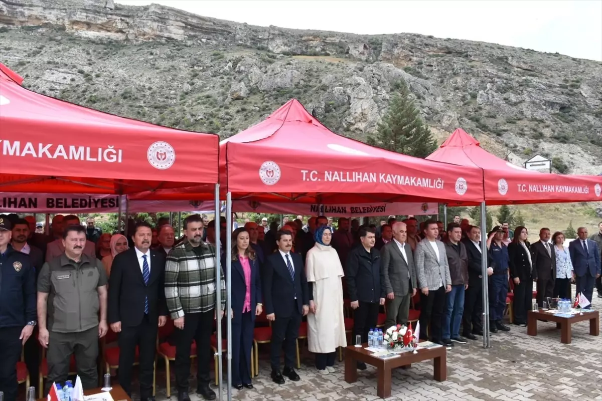 Nallıhan Kuş Cenneti'nde 8. Foto Safari Başladı