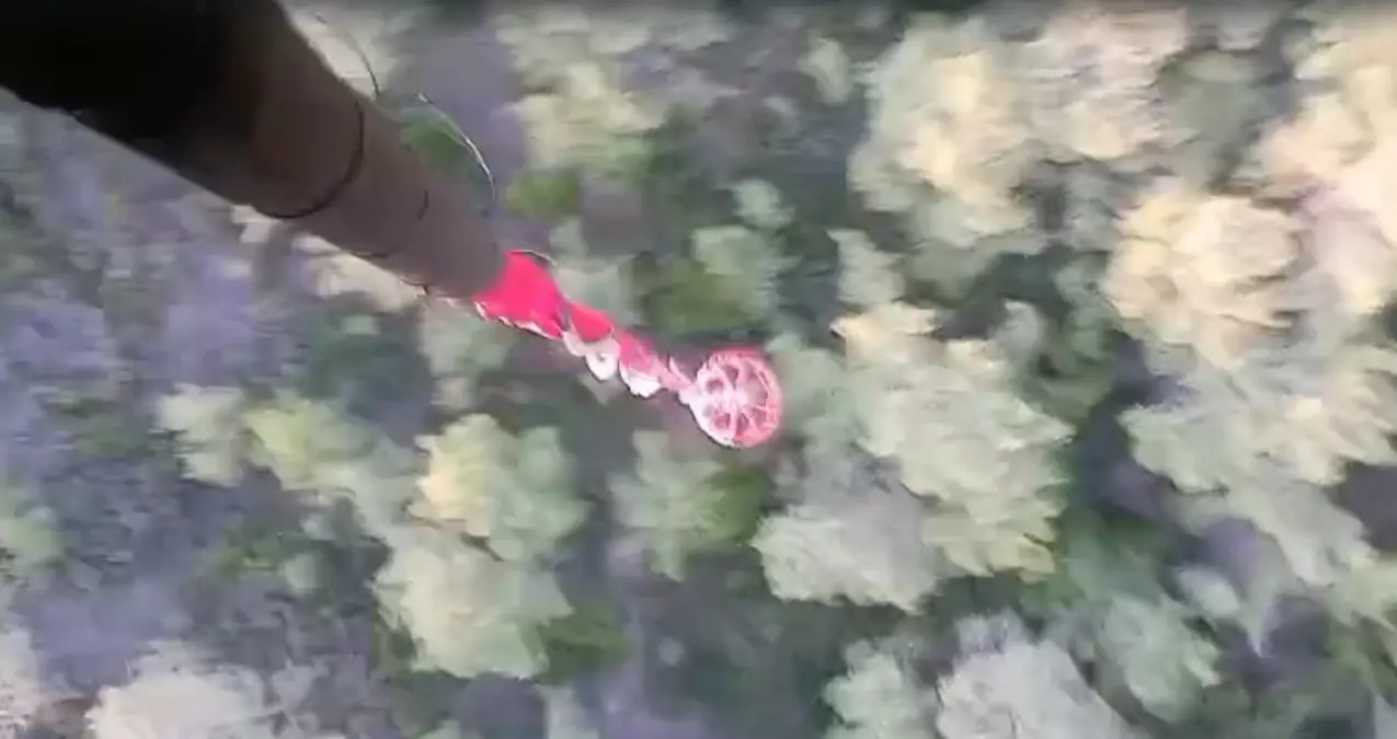 Muğla ve Aydın'da 3 Orman Yangını Kontrol Altında
