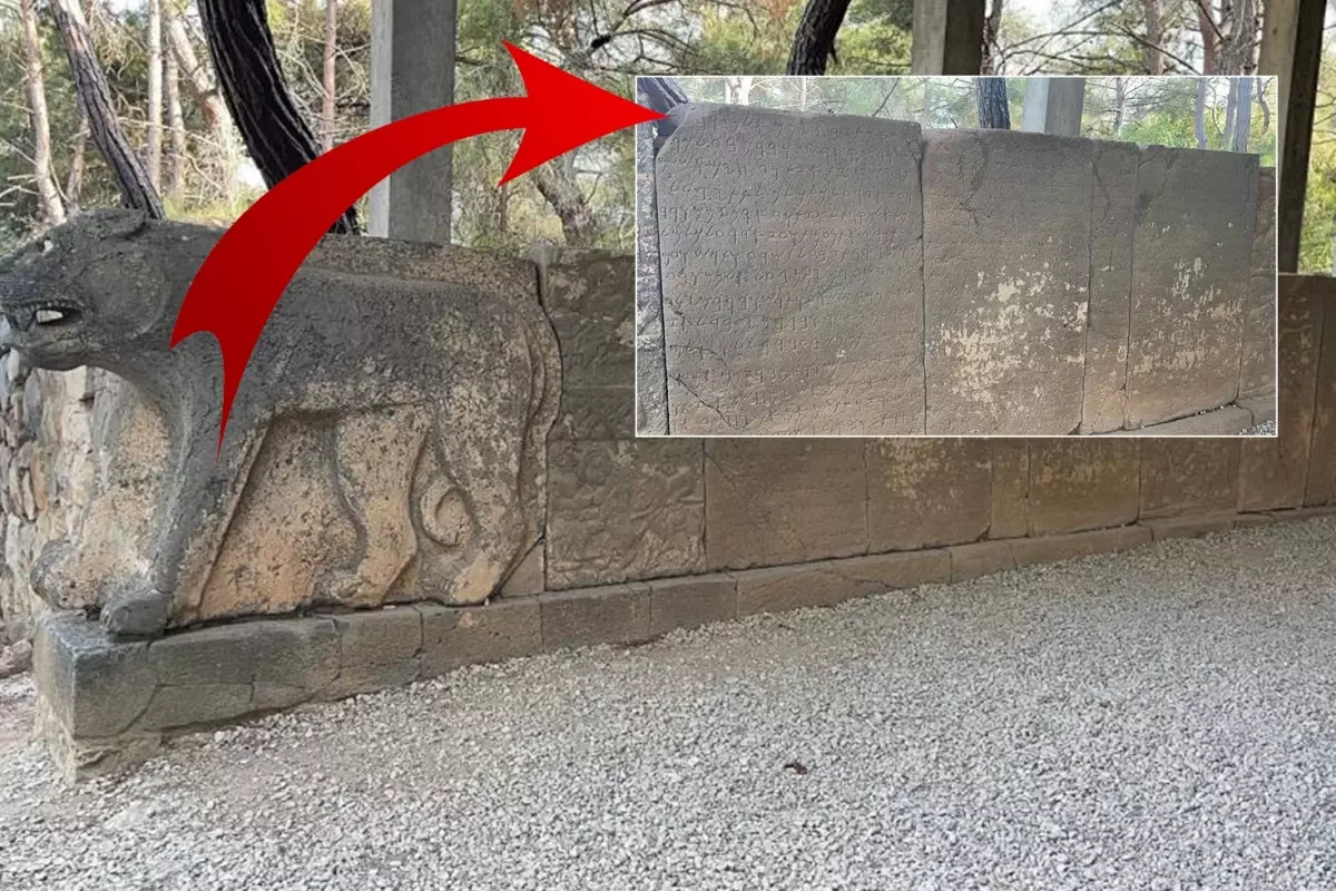 Milyonlarca dolarlık sırlar burada saklı! Çözülmesi için ödüller kondu