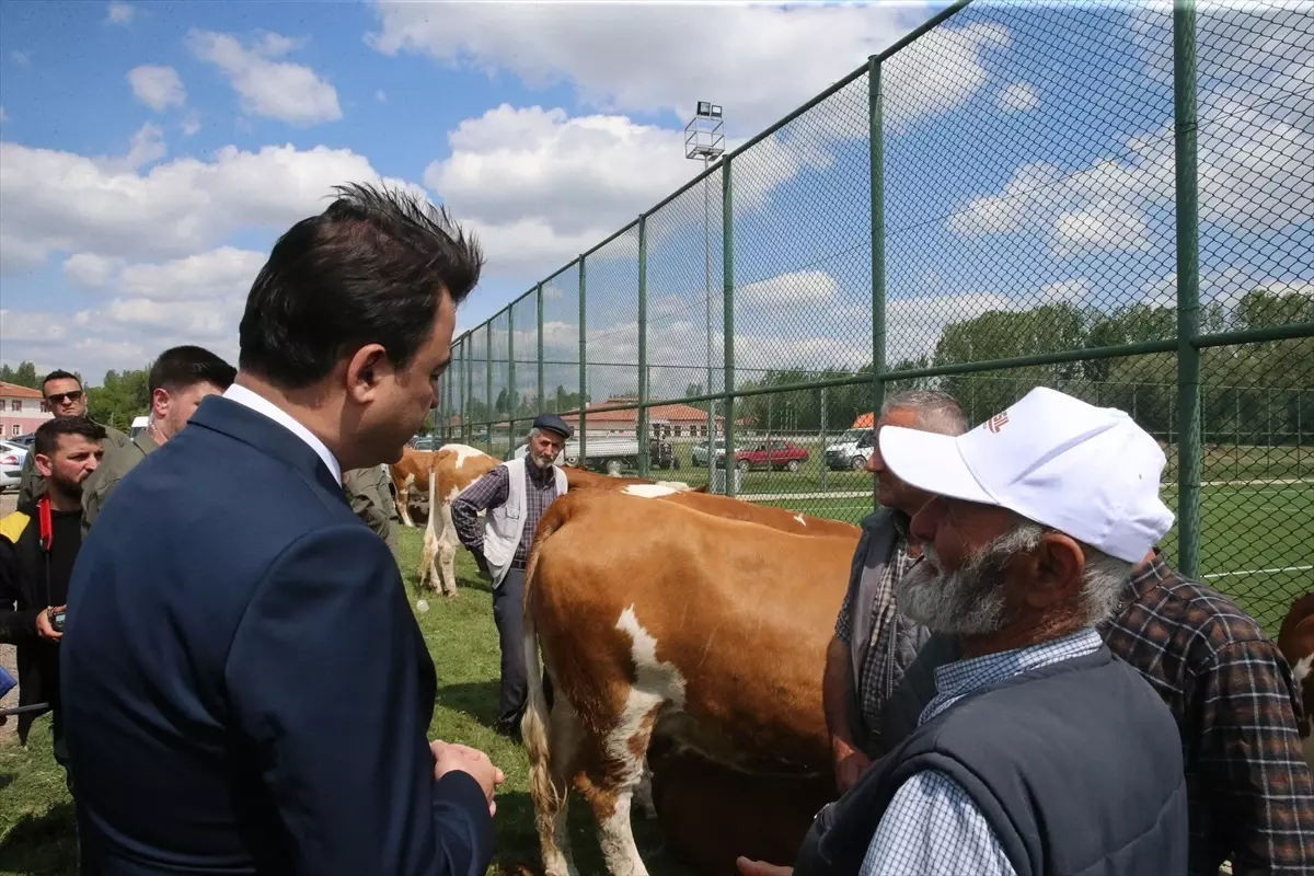 Süt Sığırcılığı Projesi Başladı
