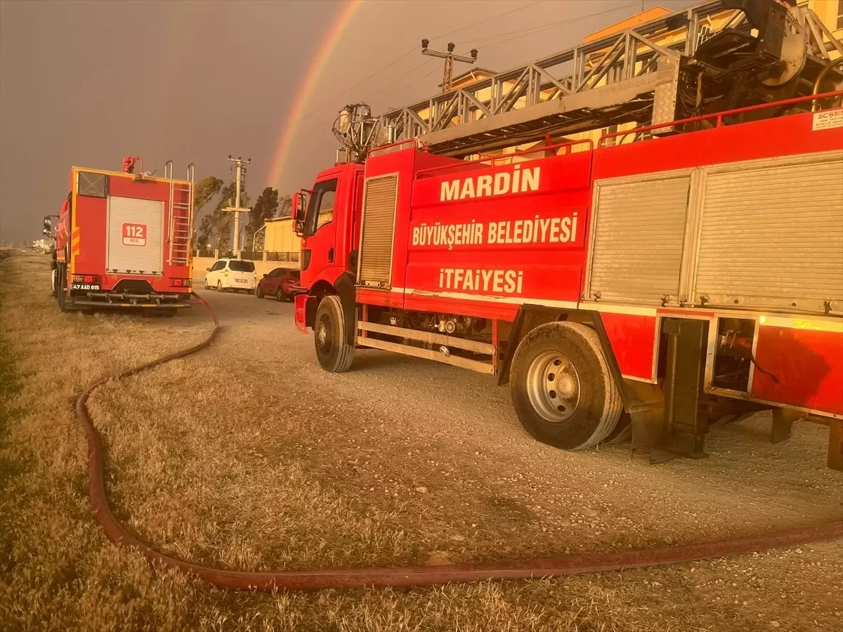 Kızıltepe'de Yangın: 350 Dönüm Buğday Zarar Gördü