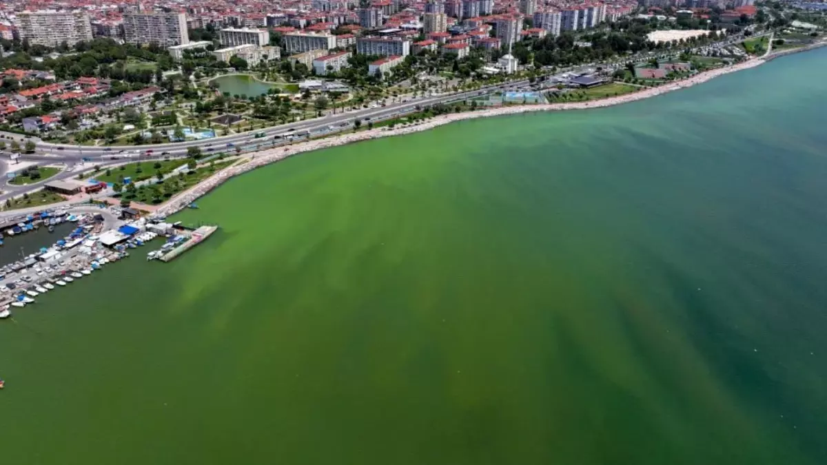Okyanusların Koyu Renklenmesi Artıyor