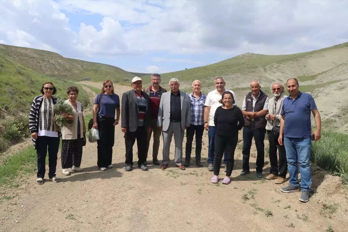 Yeni Bitki Türü 'Dorycnium vuralii' Keşfedildi