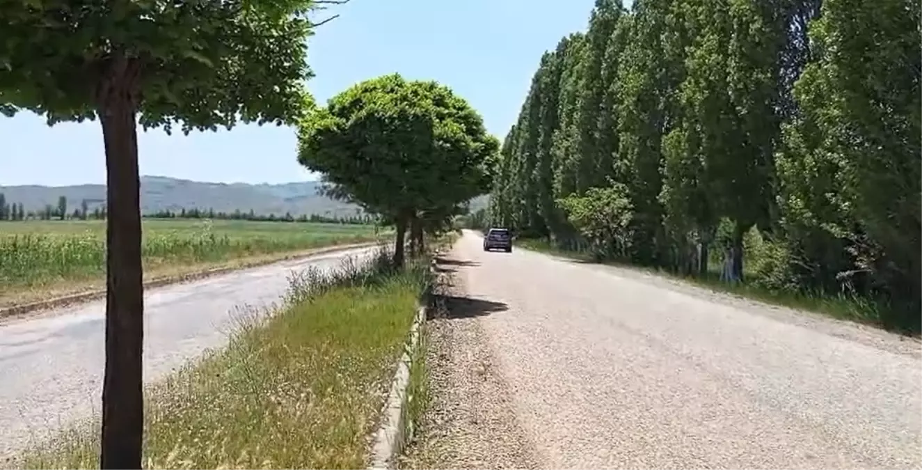 Omura'nın İsim Verildiği Cadde Açıldı