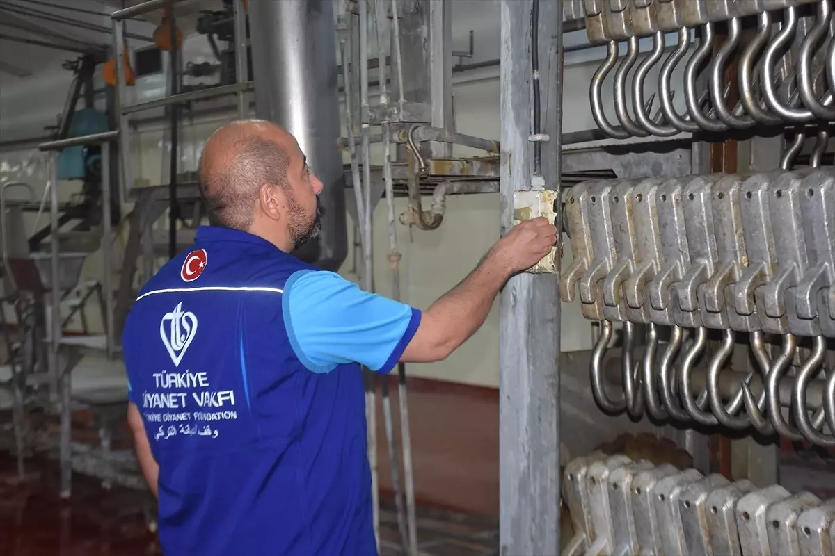 TDV, Van'da 900 Kurban Kesiyor