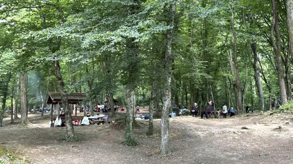 Kurban Bayramı'nda Belgrad Ormanı'na Akın