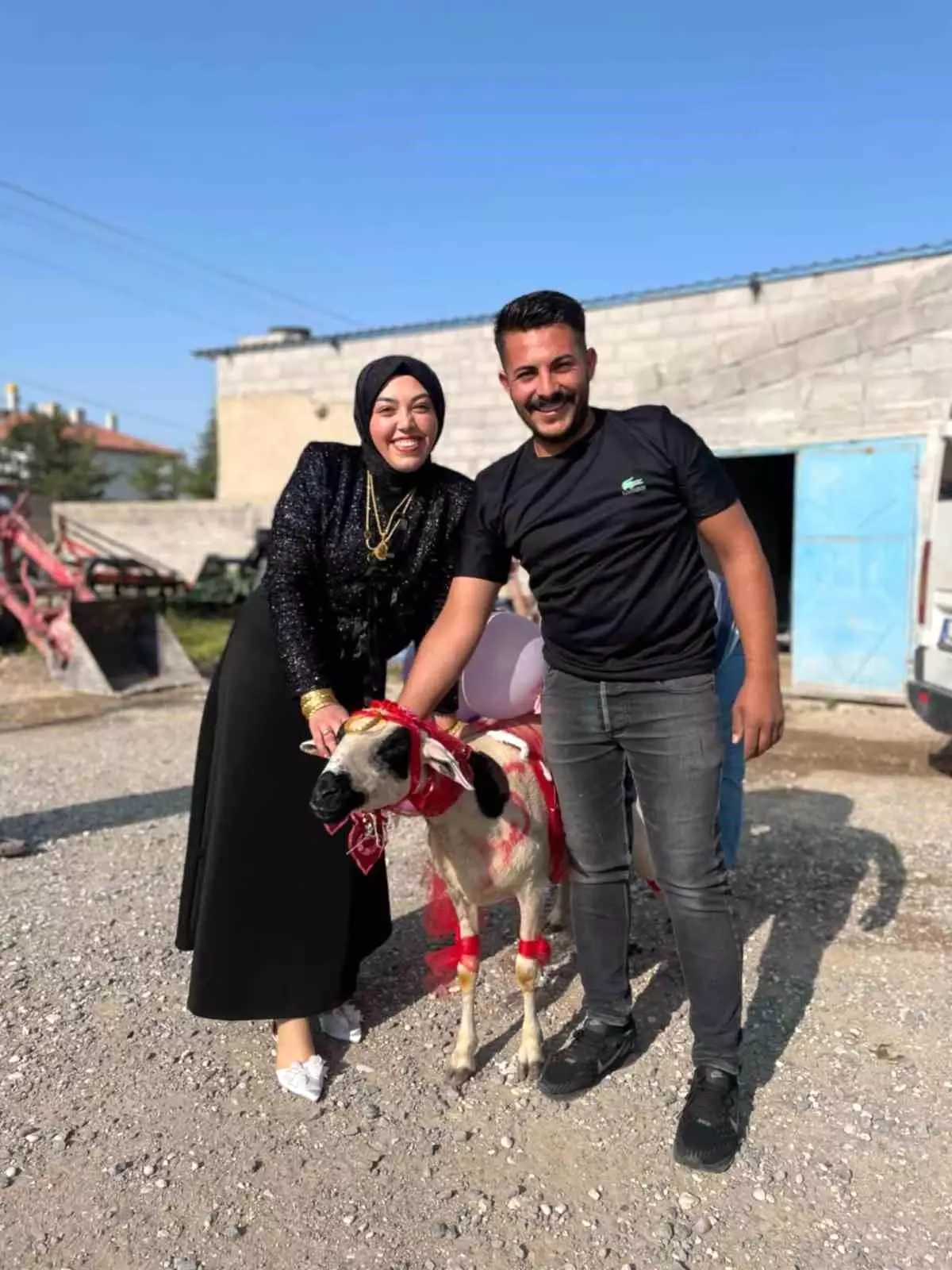 Nişanlıya Süslenmiş Koyun Hediye