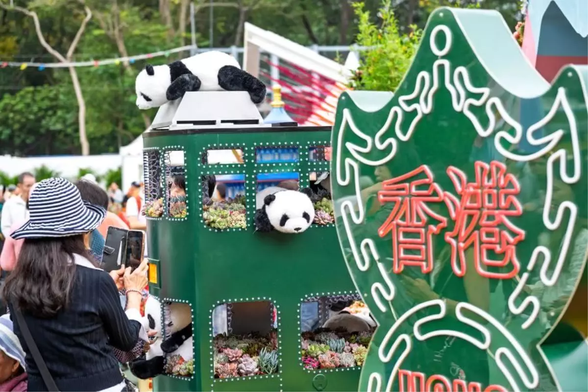 Hong Kong'a Ziyaretçi Akışı Artıyor