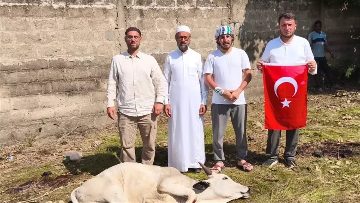 TDV, Togo'da 21 Bin Aileye Kurban Eti Dağıttı