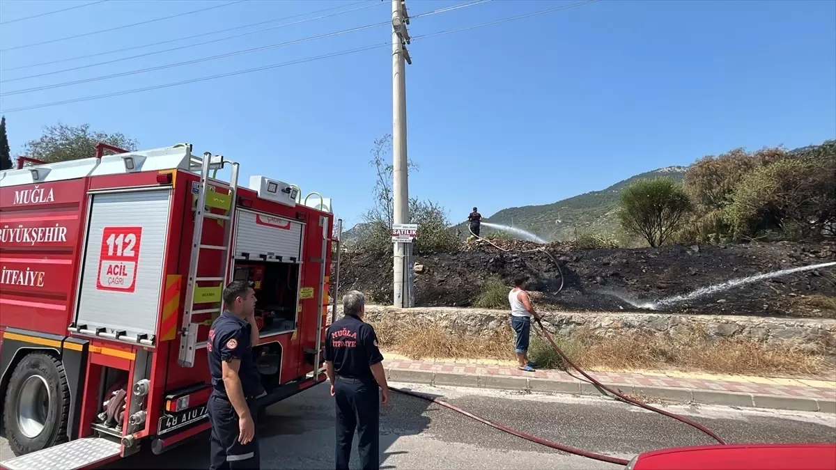 Bodrum'da Otluk Alanda Yangın Söndürüldü