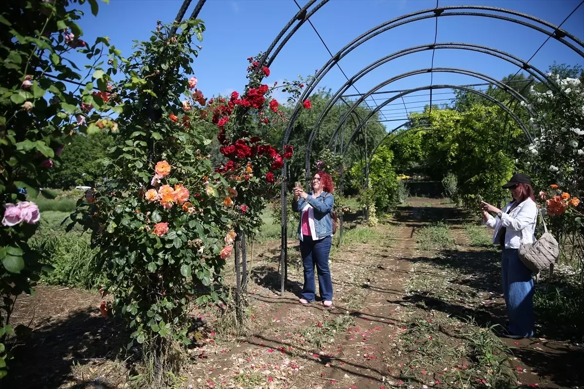 Edirne'de 'Koku Tüneli' Açıldı