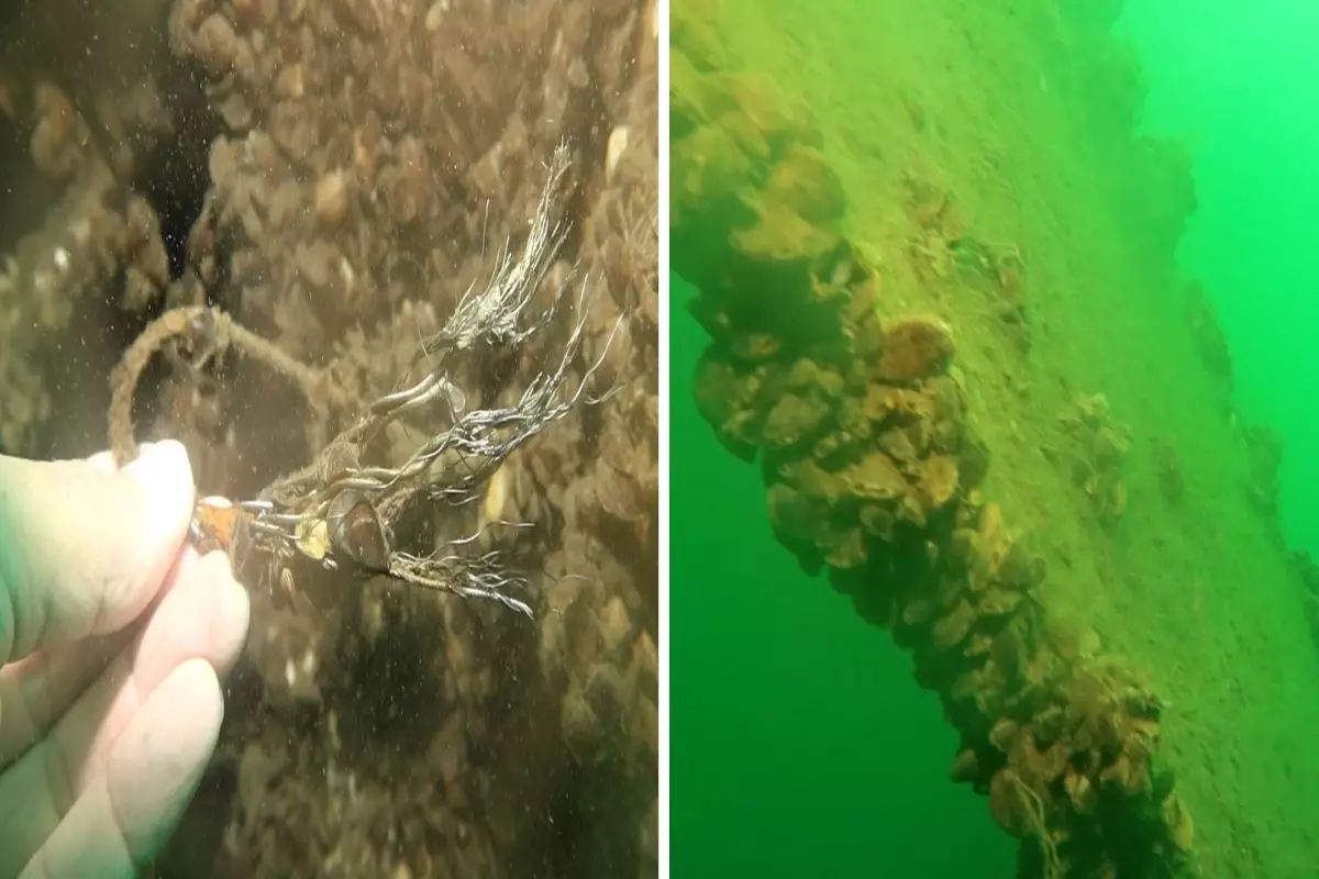 Sapanca Gölü'ne düşen uçağın enkazı 53 yıl sonra yeniden görüntülendi