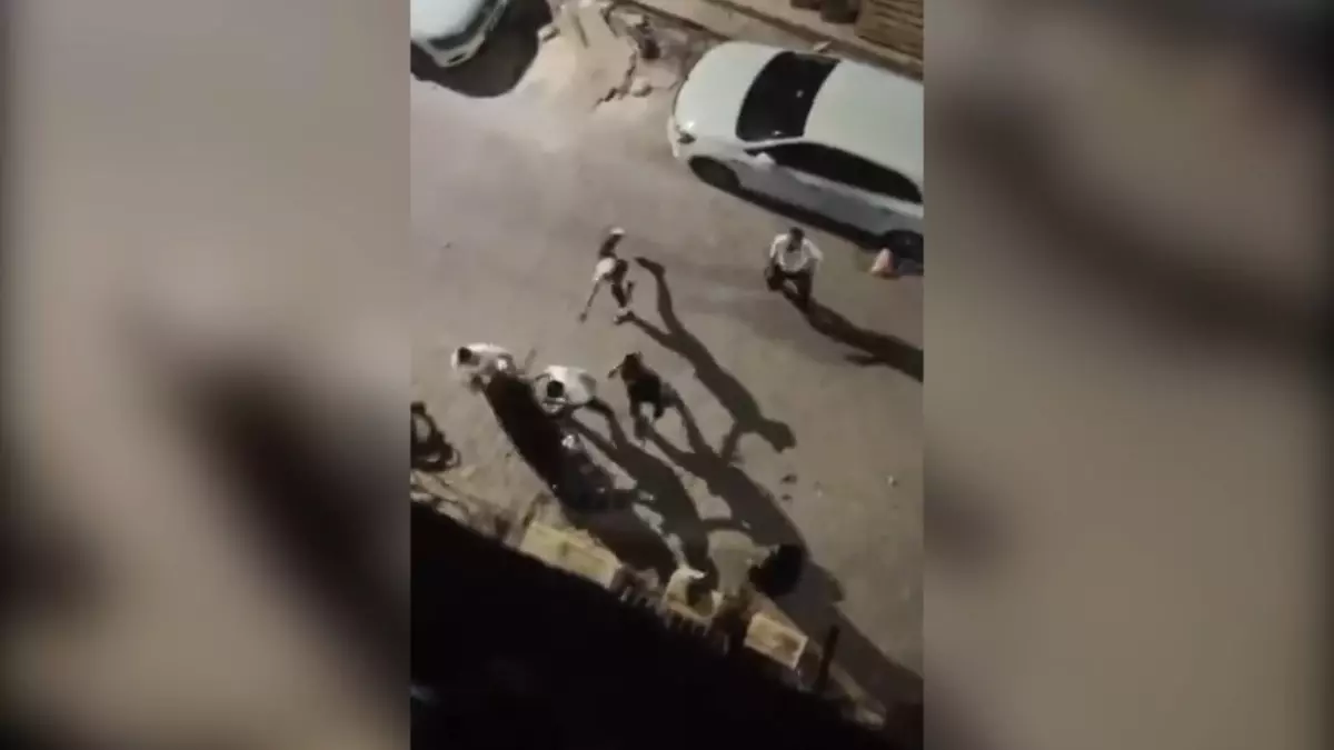 Şanlıurfa'da Suriyeli Gruplar Arasında Kavga
