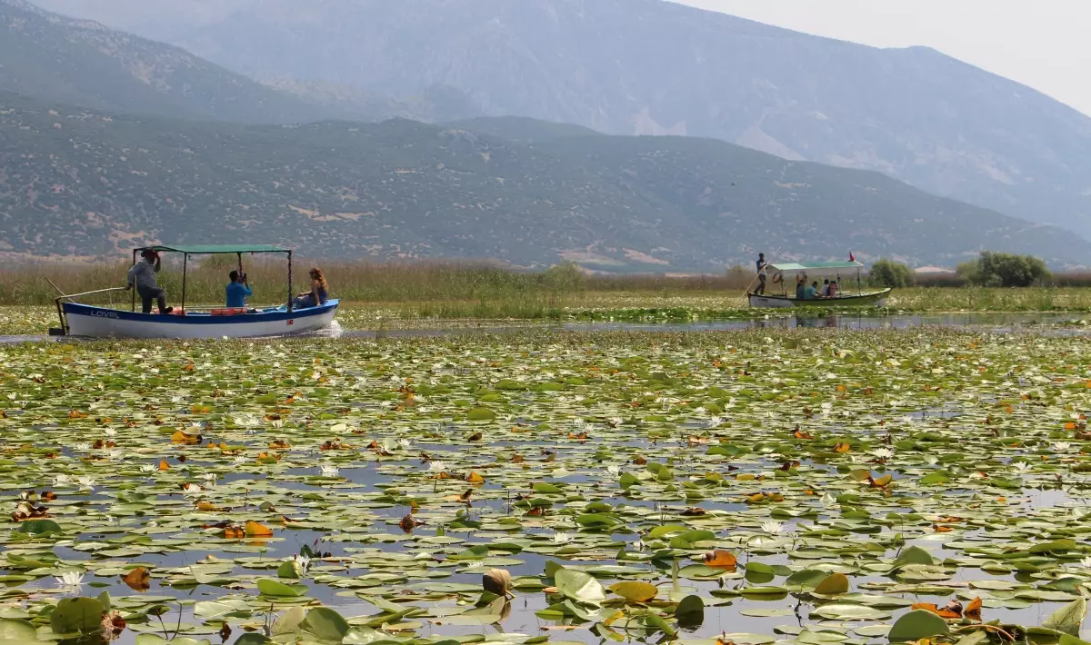 Işıklı Gölü, Tatilcilerin Yeni Gözdesi