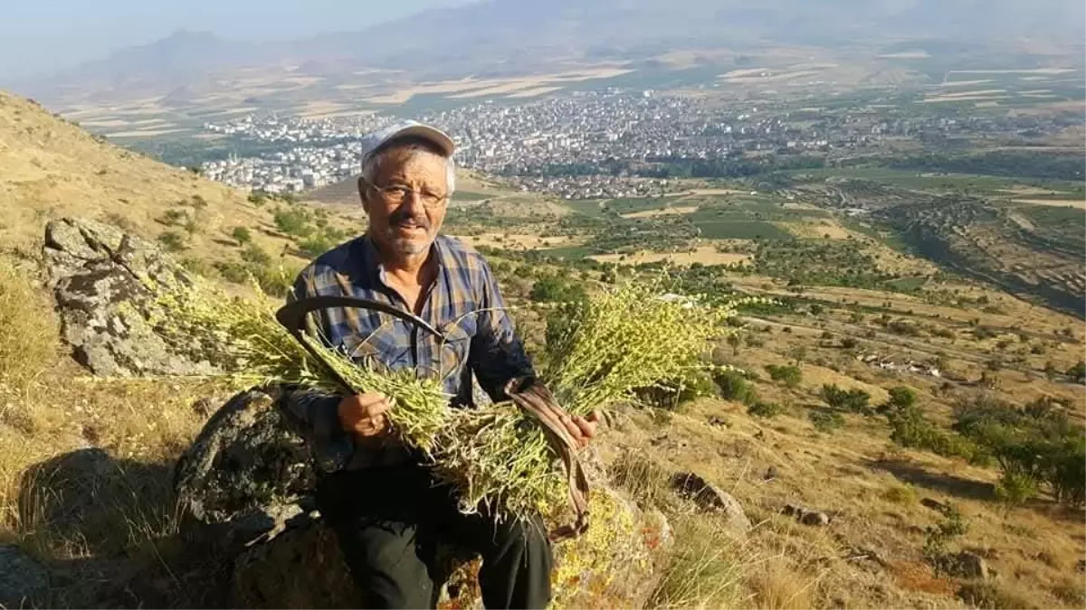Erciyes'te Kaliteli Bal Üretimi
