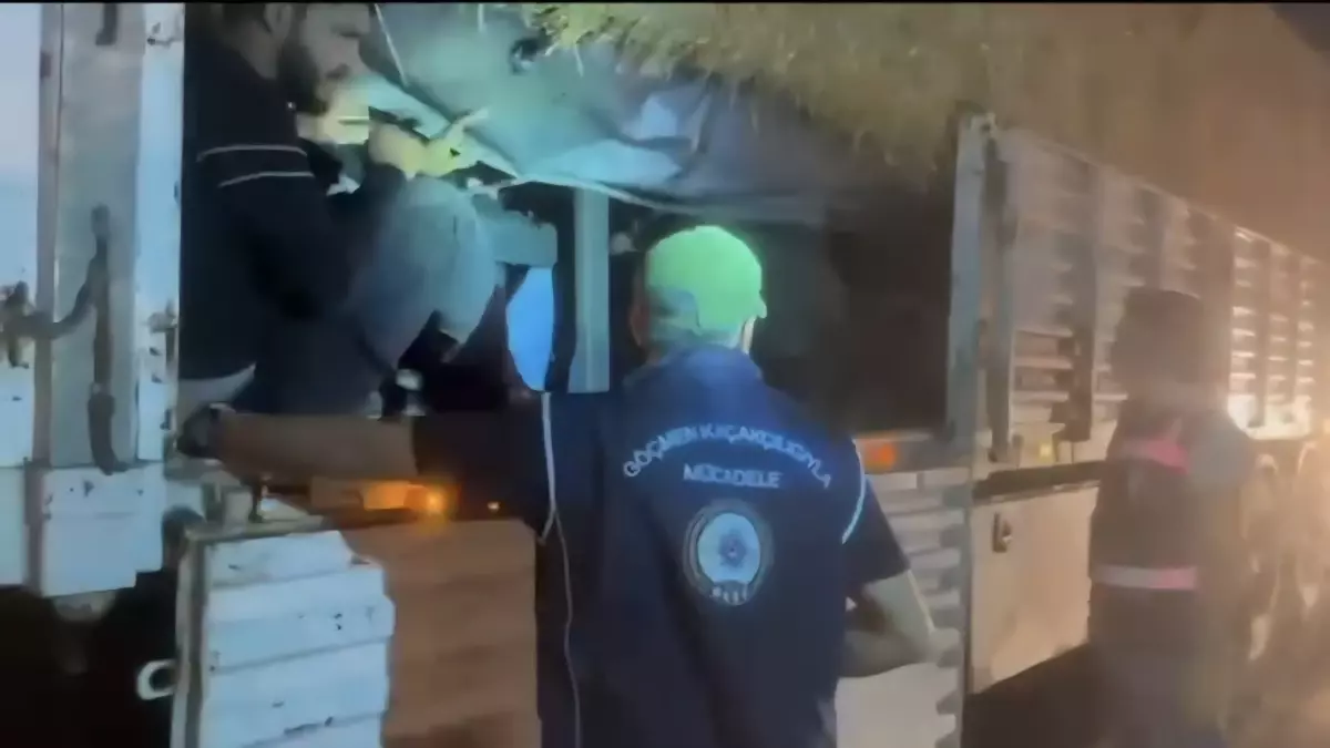 Hatay'da 31 Kaçak Göçmen Yakalandı
