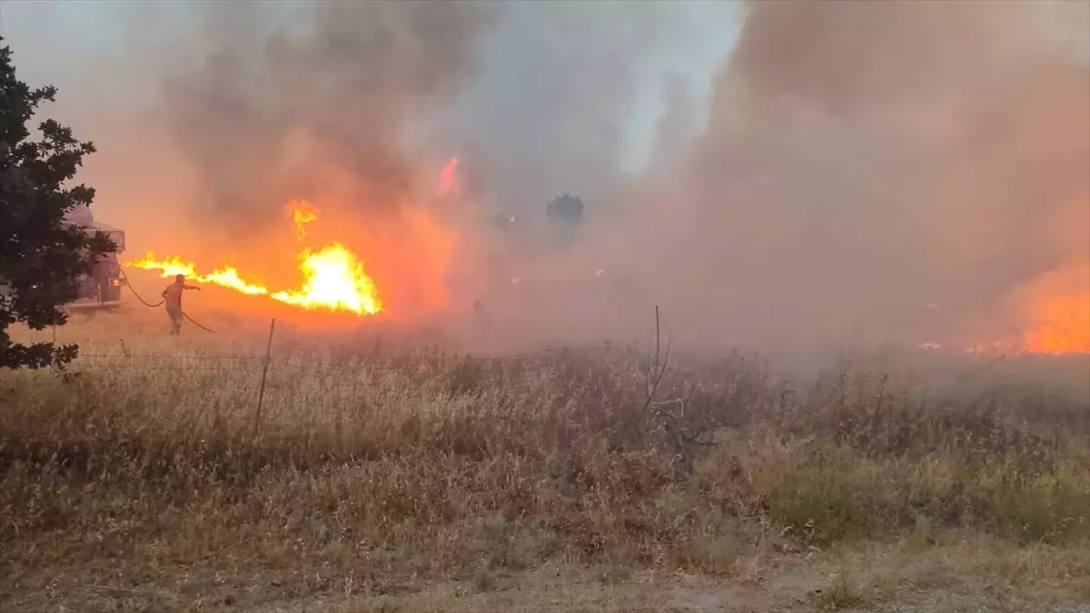 Çanakkale'de Tarım Arazisinde Yangın