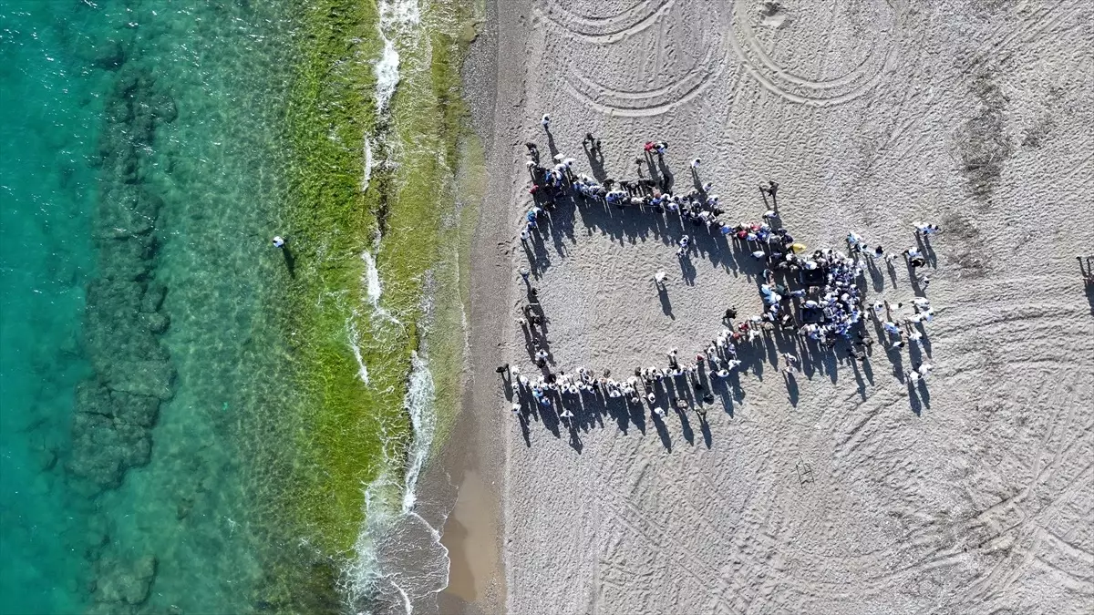 Antalya'da Caretta Carettalar Denize Bırakıldı